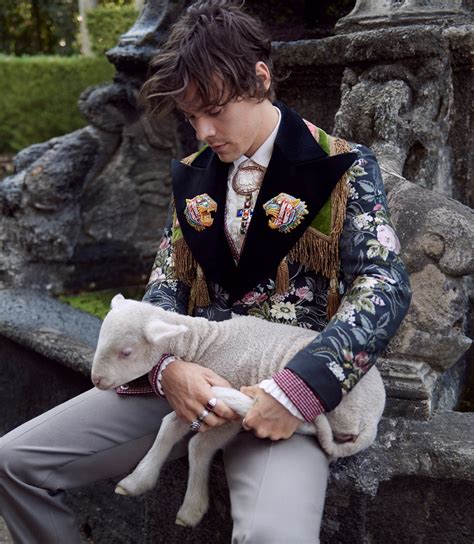 gucci cruise harry styles|gucci harry styles collection.